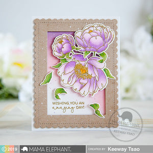 PEONIES IN BLOOM