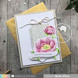 PEONIES IN BLOOM