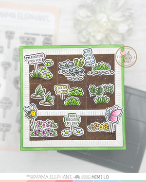 PLANT PICKS