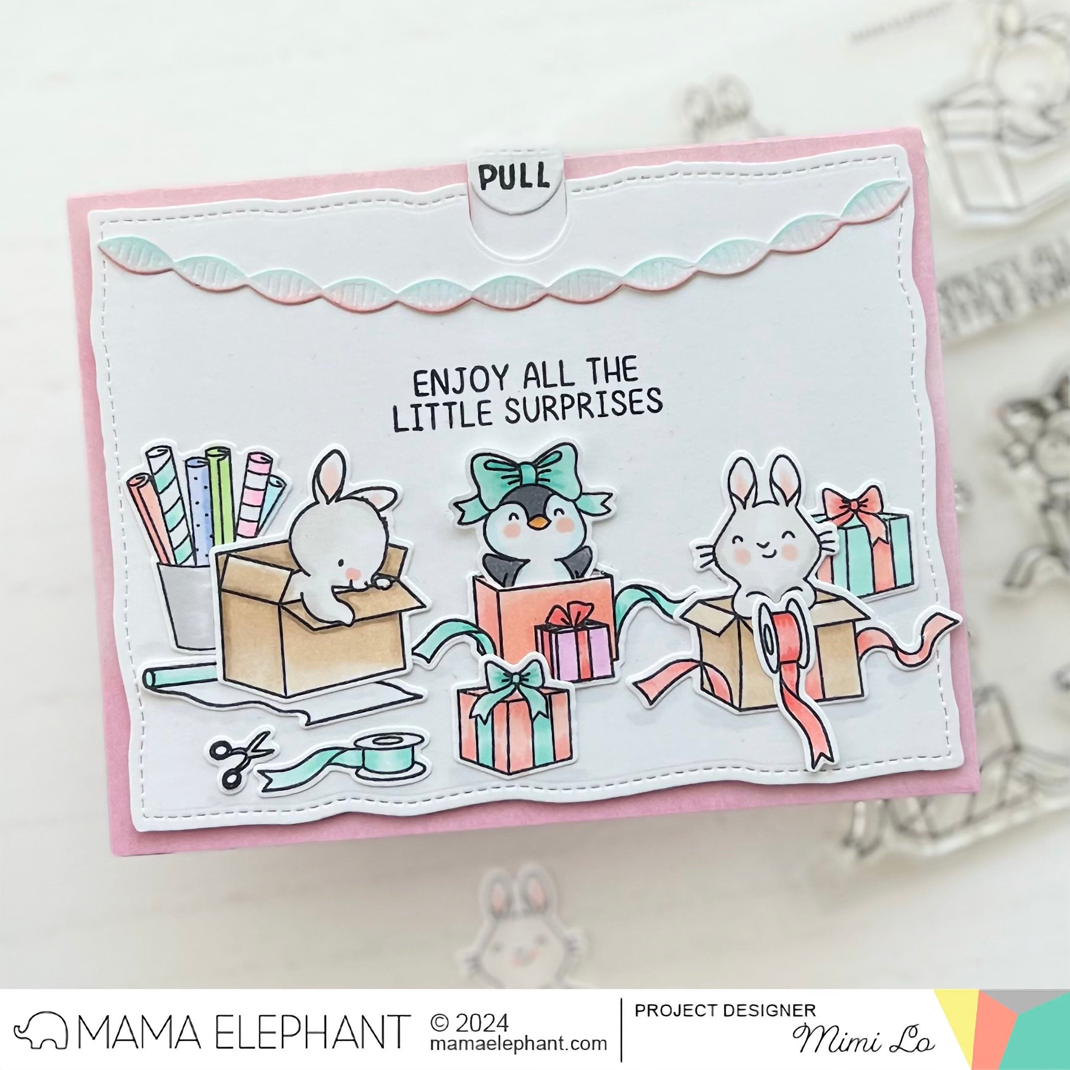 SURPRISE BOXES