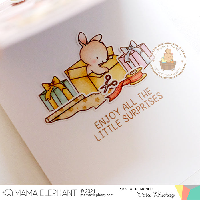 Surprise Boxes with Vera