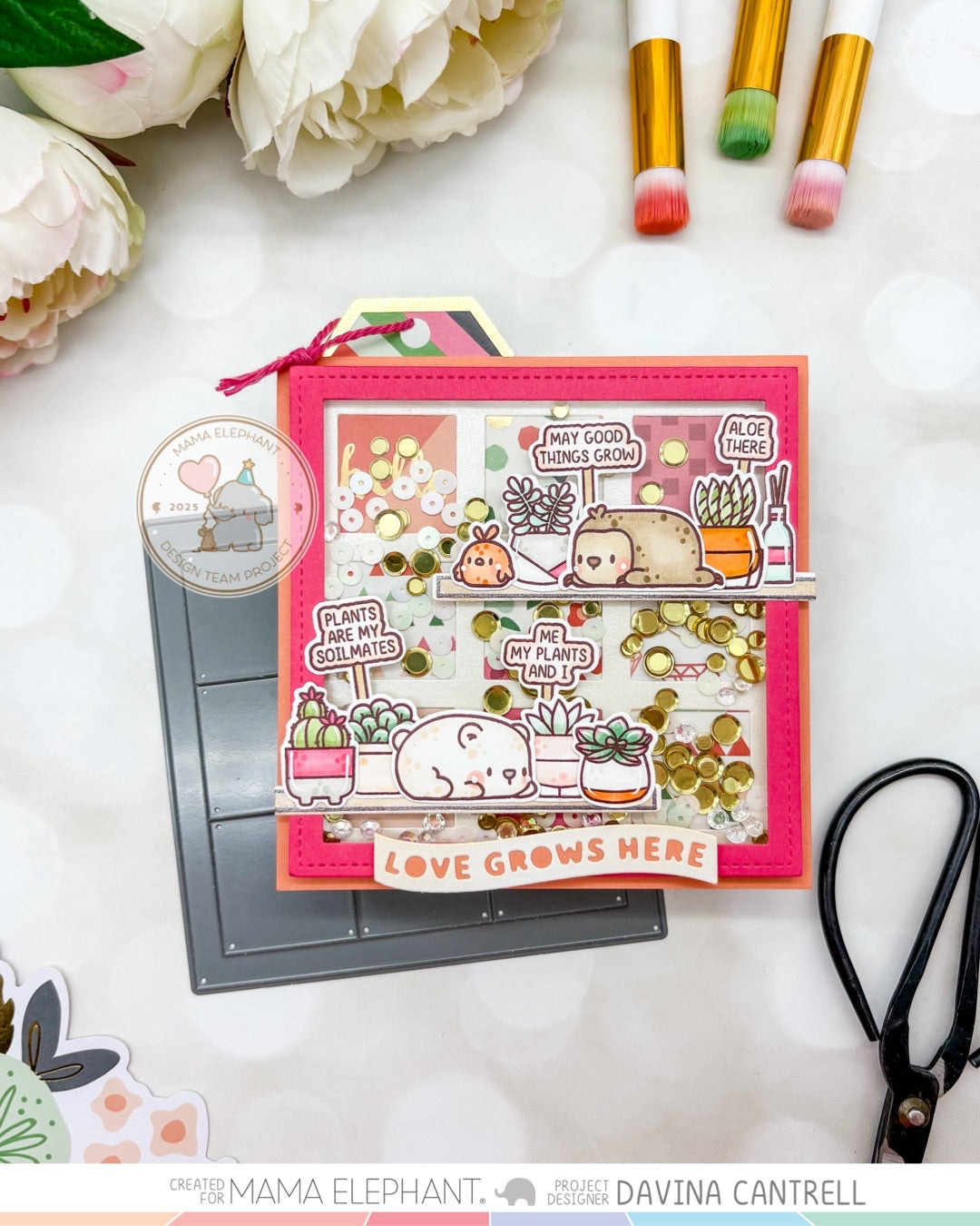 Plant Picks with Davina