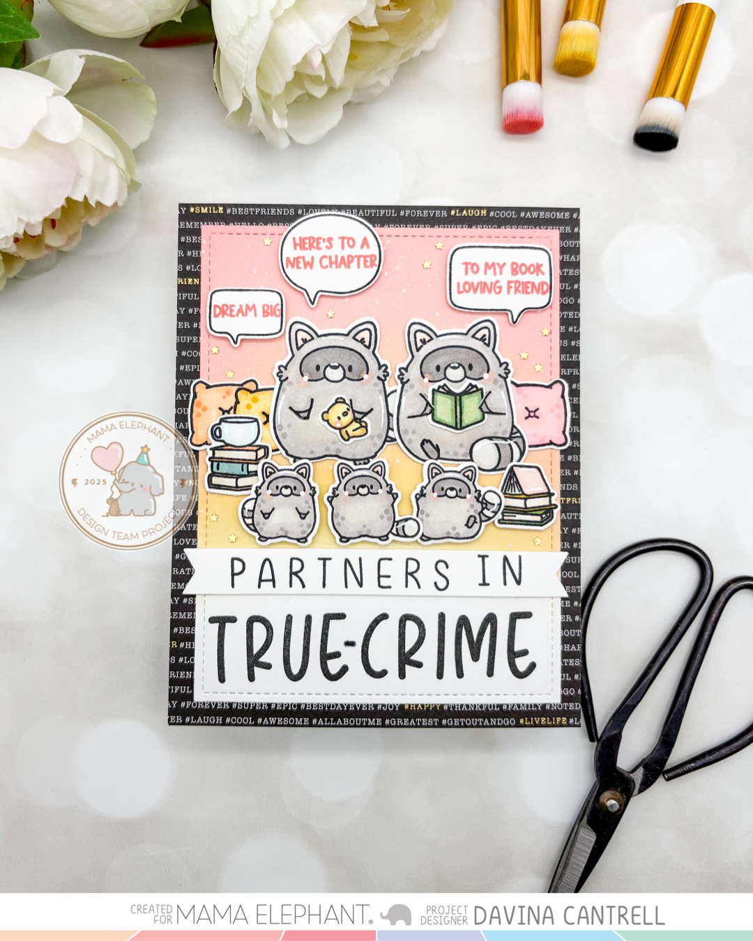 Playful Raccoon with Davina