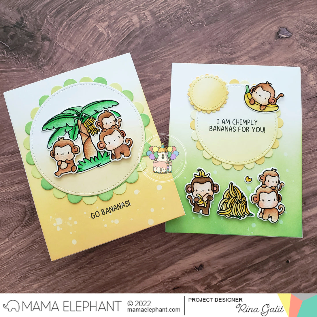 INTRODUCING: Everyday Monkeys & Combo Circle