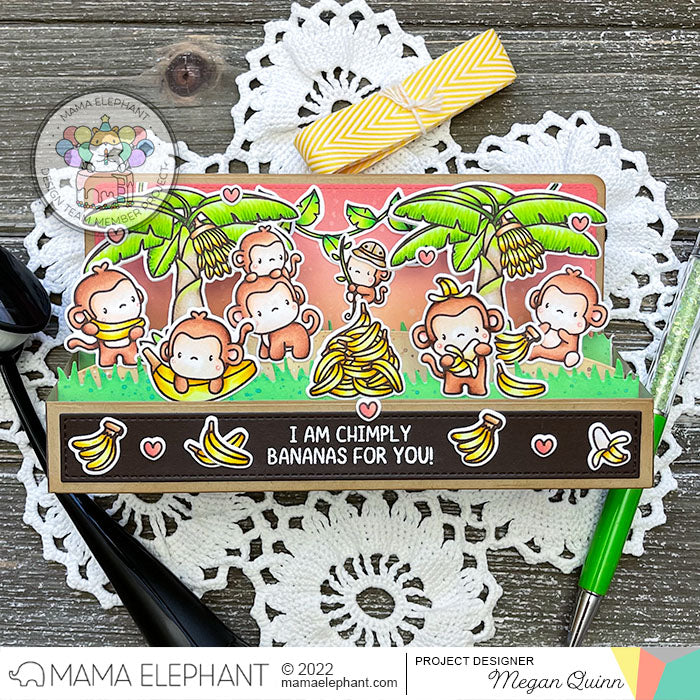 Everyday Monkeys with Megan