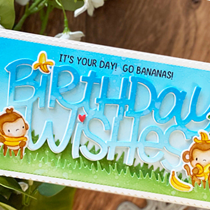 Everyday Monkeys with Nichol