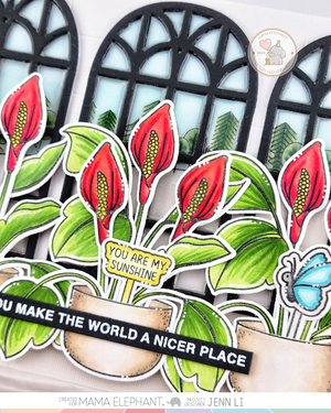 PLANT PICKS