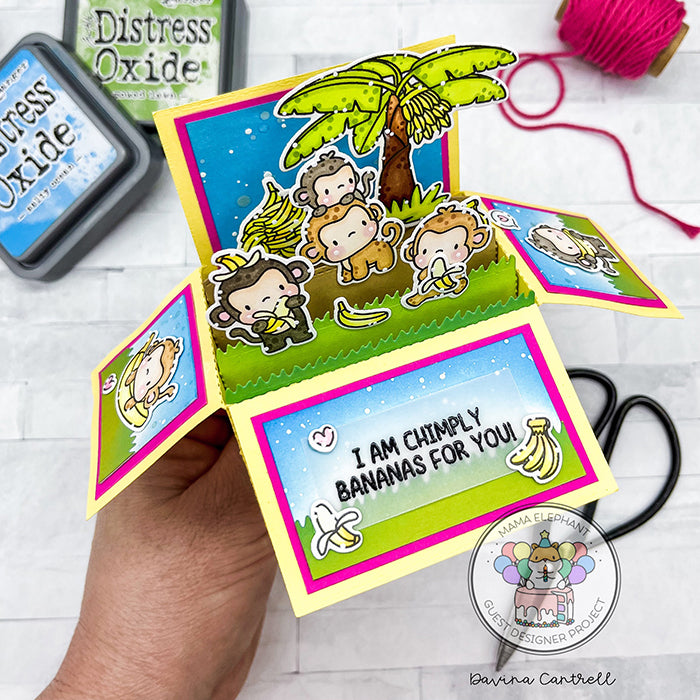 Everyday Monkeys - Creative Cuts