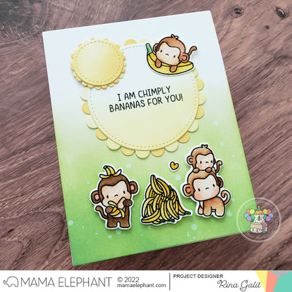 Everyday Monkeys - Creative Cuts